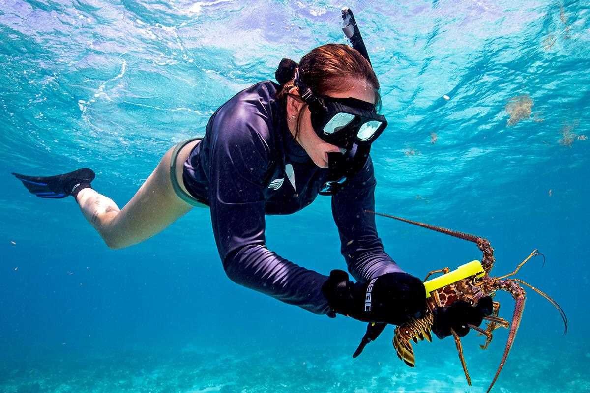 What You Need to Know for Florida Keys Lobster Season: Rules, Regulations & Mini Season