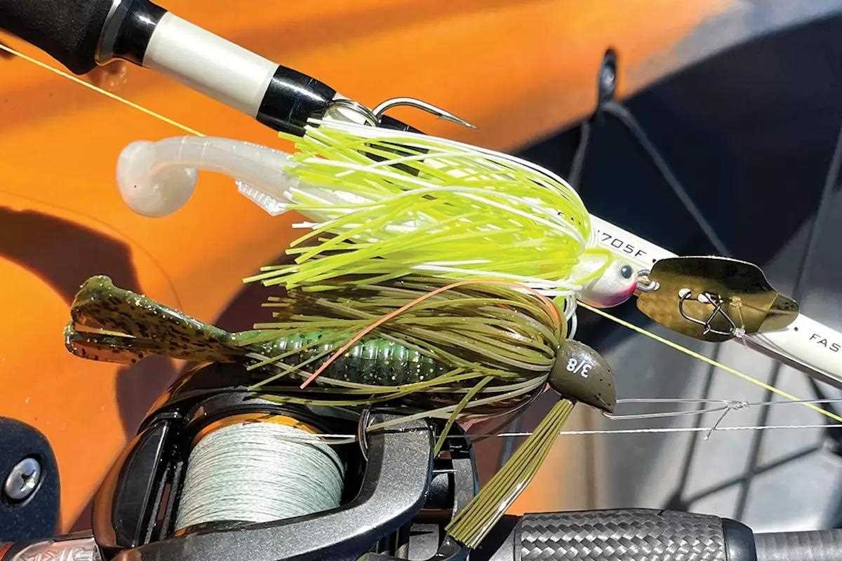 Blast from the Bass for Inshore Reds