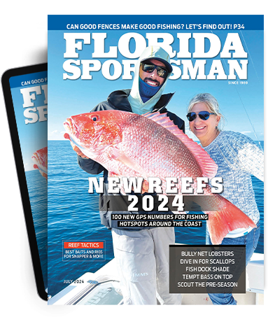 Subscribe to the Magazine